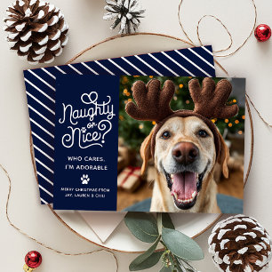 Cartes Pour Fêtes Annuelles Naughty ou Nice drôle mignonne animal de compagnie
