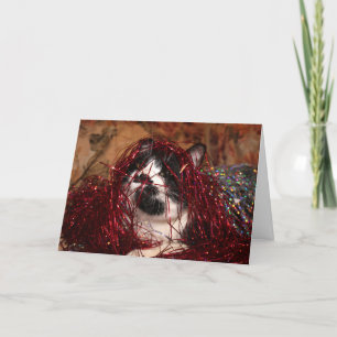 Cartes Pour Fêtes Annuelles Naughty tuxedo Noël