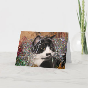 Cartes Pour Fêtes Annuelles Naughty tuxedo Noël