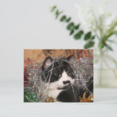 Cartes Pour Fêtes Annuelles Naughty tuxedo Noël (Debout devant)