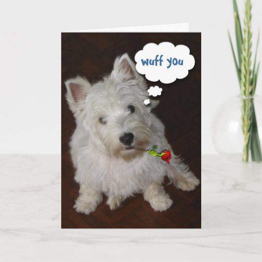 Cartes Pour Fêtes Annuelles Ne t'en mêle pas (Devant)