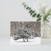 Cartes Pour Fêtes Annuelles Neige (Debout devant)