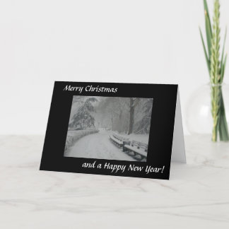 Cartes Pour Fêtes Annuelles Neige dans le Central Park