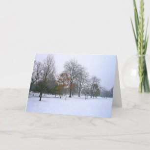 Cartes Pour Fêtes Annuelles Neige dans le parc, Bute Park, Cardiff, Pays de Ga