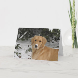 Cartes Pour Fêtes Annuelles Neige d'or