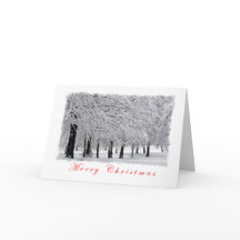 Neige et arbres Joyeux Noël