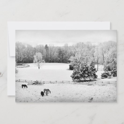Cartes Pour Fêtes Annuelles Neige fraîche tombée au ranch du cheval (Devant)