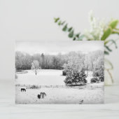 Cartes Pour Fêtes Annuelles Neige fraîche tombée au ranch du cheval (Debout devant)