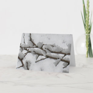 Cartes Pour Fêtes Annuelles Neige sur branche d'arbre