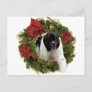 Cartes Pour Fêtes Annuelles Newf Landseer