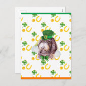 Cartes Pour Fêtes Annuelles Newfypoo Shamrock St. Patricks Day (Devant / Derrière)