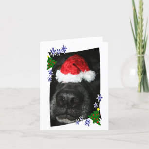 Cartes Pour Fêtes Annuelles Nez de chien utilisant le casquette de Père Noël,