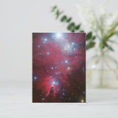 Cartes Pour Fêtes Annuelles NGC 2264 et le groupe Arbre de Noël (Debout devant)