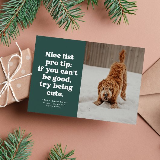 Cartes Pour Fêtes Annuelles Nice list funny cute green pet photo Christmas