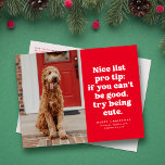 Cartes Pour Fêtes Annuelles Nice liste pro conseil drôle rouge Noël photo<br><div class="desc">Jolie liste pro conseil - si vous ne pouvez pas être bon essayez d'être mignon. Cette carte postale de Noël festive et drôle est parfaite pour votre trop mignon chien pour le chien coquin liste, chat ou peut-être même enfant. Envoyez des sourires avec cette carte postale de vacances en une...</div>