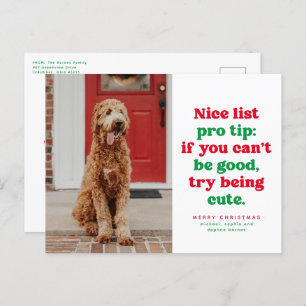 Cartes Pour Fêtes Annuelles Nice liste pro conseil drôle une photo Noël animal