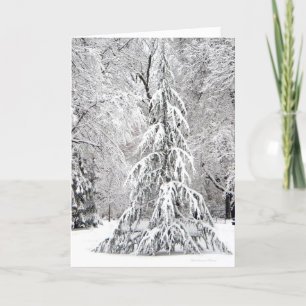 Cartes Pour Fêtes Annuelles *No Snowflake Falls In the Wrong Place.