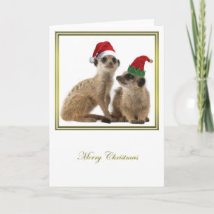 Cartes Pour Fêtes Annuelles Noël 1 de Meerkat