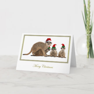 Cartes Pour Fêtes Annuelles Noël 3 de Meerkat