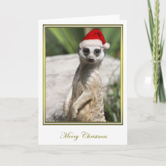 Cartes Pour Fêtes Annuelles Noël 4 de Meerkat (Devant)