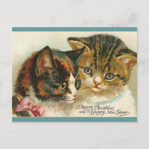 Cartes Pour Fêtes Annuelles Noël à deux Kitties