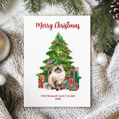 Cartes Pour Fêtes Annuelles Noël à la famille des chats Ragdoll