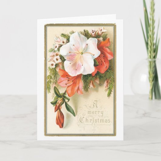 Cartes Pour Fêtes Annuelles Noël à l'ancienne, Fleur (Devant)