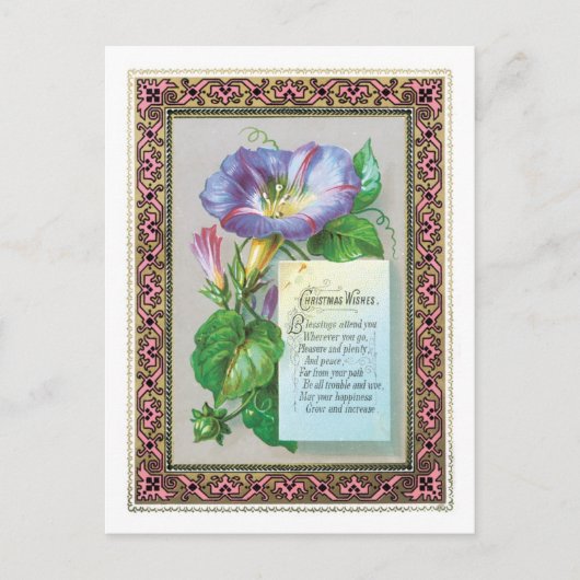 Cartes Pour Fêtes Annuelles Noël à l'ancienne, Gloire du matin (Devant)