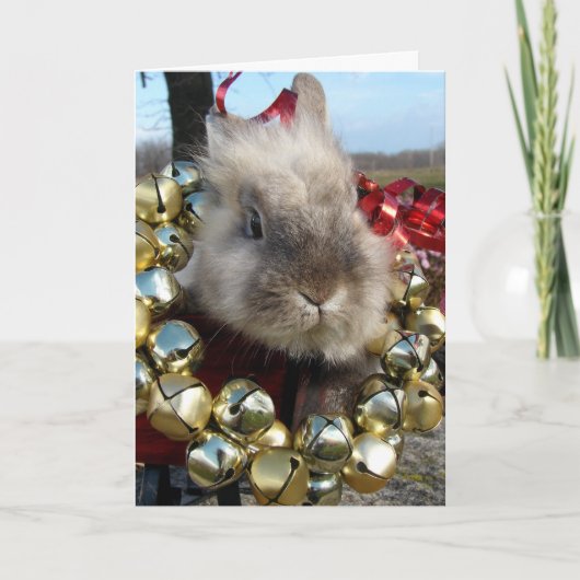 Cartes Pour Fêtes Annuelles Noël à Lionhead Bunny (Devant)