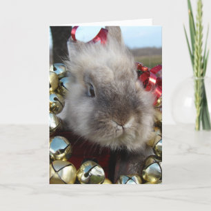 Cartes Pour Fêtes Annuelles Noël à Lionhead Bunny
