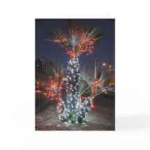 Noël à Phoenix, Arizona