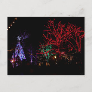 Cartes Pour Fêtes Annuelles Noël à Silver Dollar City