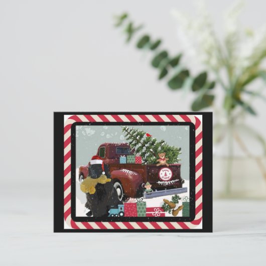 Cartes Pour Fêtes Annuelles Noël à Terre-Neuve (Debout devant)