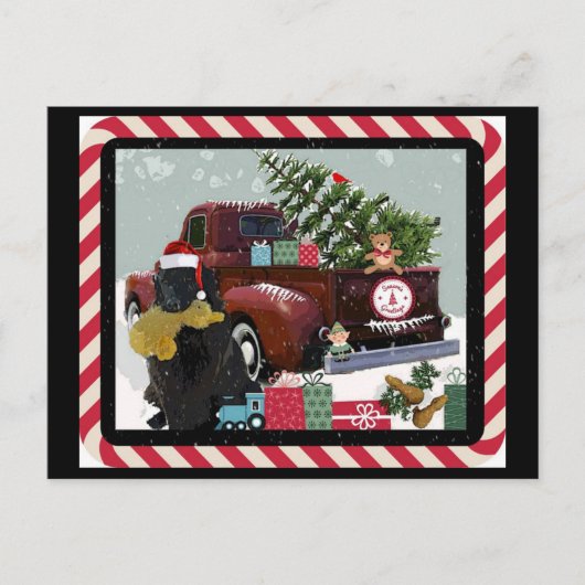 Cartes Pour Fêtes Annuelles Noël à Terre-Neuve (Devant)