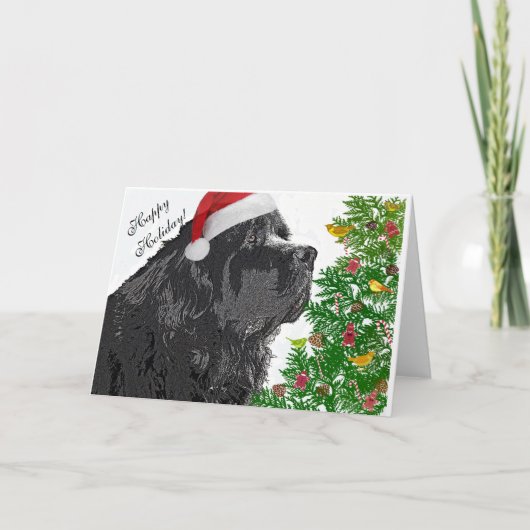 Cartes Pour Fêtes Annuelles Noël à Terre-Neuve (Devant)