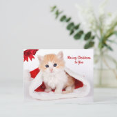Cartes Pour Fêtes Annuelles Noël à toi mignon Chat à Santa Hat (Debout devant)