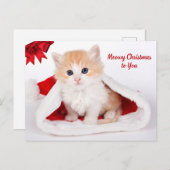 Cartes Pour Fêtes Annuelles Noël à toi mignon Chat à Santa Hat (Devant / Derrière)