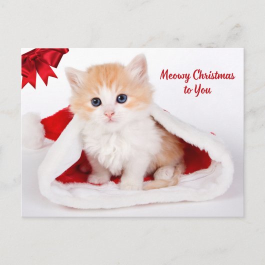 Cartes Pour Fêtes Annuelles Noël à toi mignon Chat à Santa Hat (Devant)