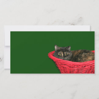 Cartes Pour Fêtes Annuelles Noël à Toristeshell