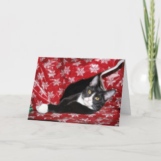 Cartes Pour Fêtes Annuelles Noël à Tuxedo