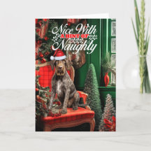 Noel allemand Wirehair Pointer Naughty ou Nice