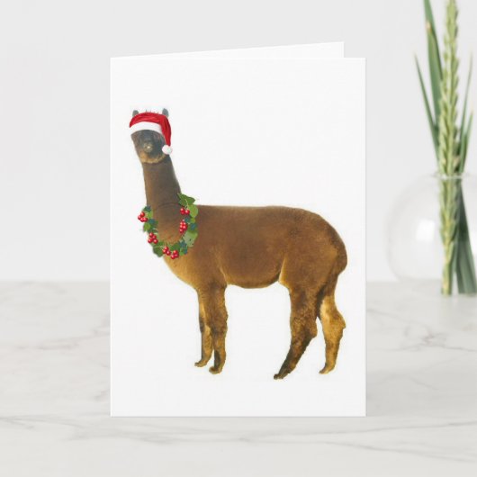 Cartes Pour Fêtes Annuelles Noël Alpaca (Devant)