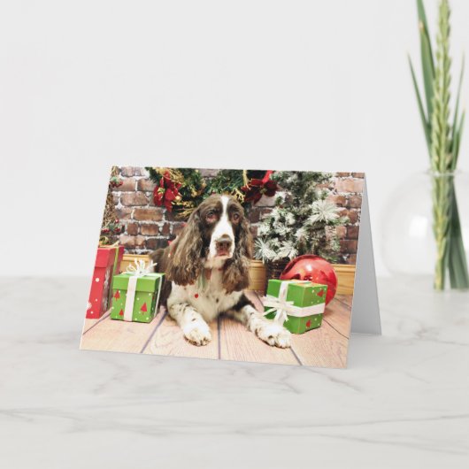 Cartes Pour Fêtes Annuelles Noël - Anglais Springer Spaniel - Logan (Devant)