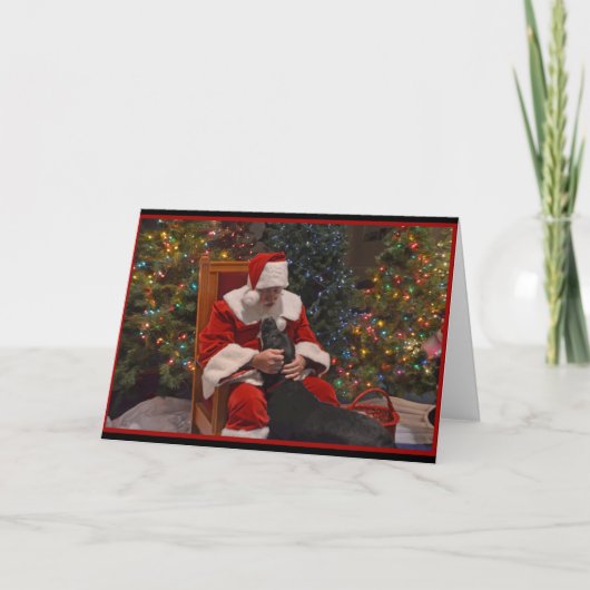 Cartes Pour Fêtes Annuelles Noël au Labrador (Devant)