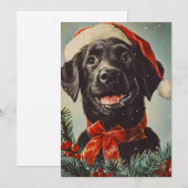 Cartes Pour Fêtes Annuelles Noël au Labrador (Devant / Derrière)