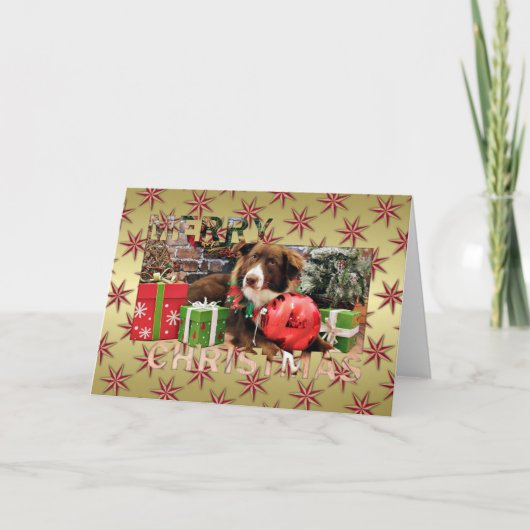 Cartes Pour Fêtes Annuelles Noël - Australian Shepherd - Molly (Devant)