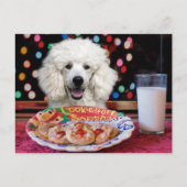 Cartes Pour Fêtes Annuelles Noël aux canicules blanches (Devant)