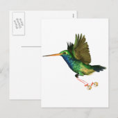 Cartes Pour Fêtes Annuelles Noël aux colibris (Devant / Derrière)