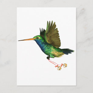 Cartes Pour Fêtes Annuelles Noël aux colibris