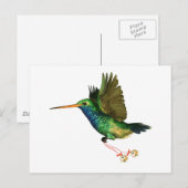 Cartes Pour Fêtes Annuelles Noël aux colibris (Devant / Derrière)